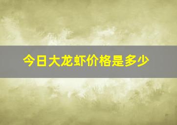 今日大龙虾价格是多少