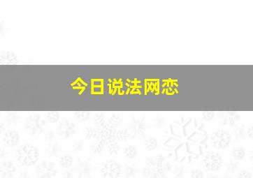 今日说法网恋