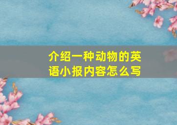 介绍一种动物的英语小报内容怎么写