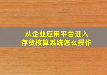 从企业应用平台进入存货核算系统怎么操作