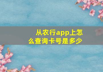 从农行app上怎么查询卡号是多少