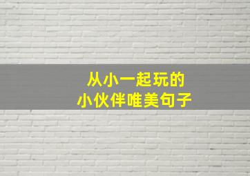 从小一起玩的小伙伴唯美句子