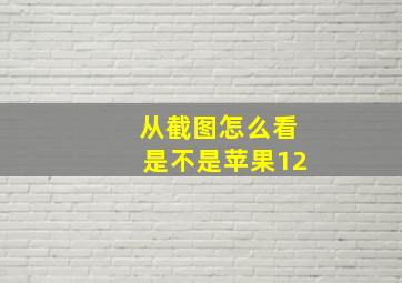 从截图怎么看是不是苹果12