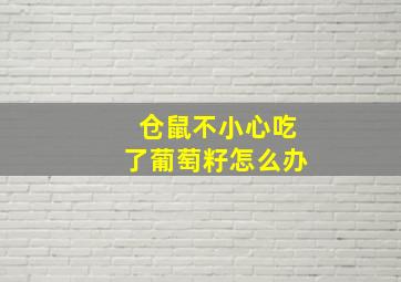 仓鼠不小心吃了葡萄籽怎么办