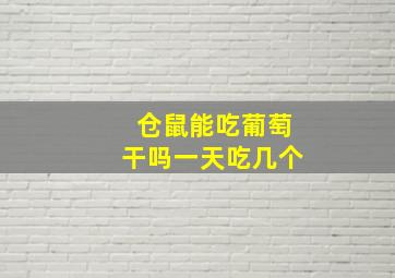 仓鼠能吃葡萄干吗一天吃几个