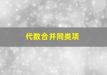 代数合并同类项