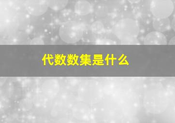 代数数集是什么