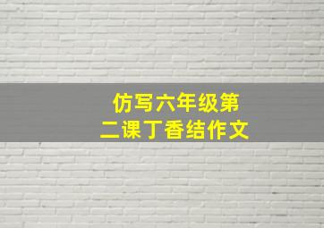 仿写六年级第二课丁香结作文