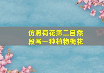 仿照荷花第二自然段写一种植物梅花