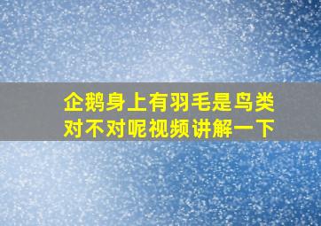 企鹅身上有羽毛是鸟类对不对呢视频讲解一下