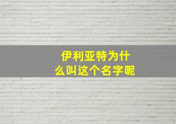 伊利亚特为什么叫这个名字呢