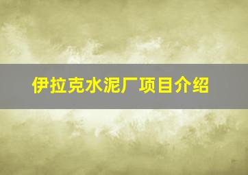 伊拉克水泥厂项目介绍