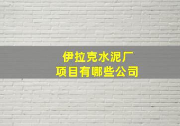 伊拉克水泥厂项目有哪些公司