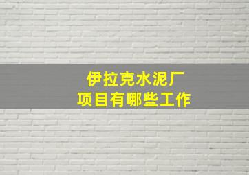 伊拉克水泥厂项目有哪些工作