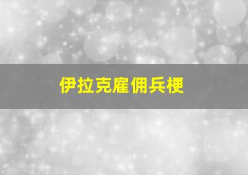 伊拉克雇佣兵梗