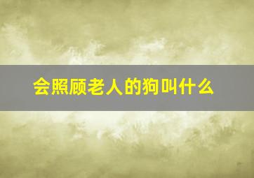 会照顾老人的狗叫什么