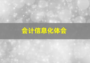 会计信息化体会