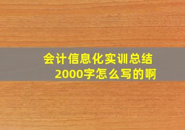 会计信息化实训总结2000字怎么写的啊