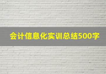 会计信息化实训总结500字