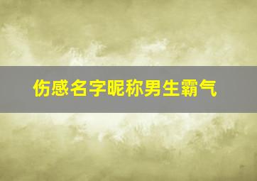 伤感名字昵称男生霸气