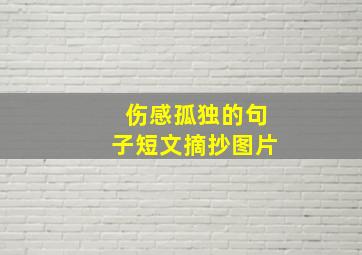 伤感孤独的句子短文摘抄图片