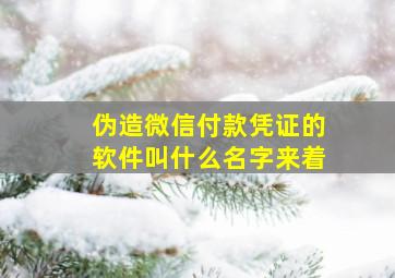 伪造微信付款凭证的软件叫什么名字来着