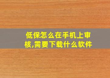 低保怎么在手机上审核,需要下载什么软件