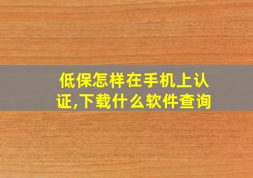 低保怎样在手机上认证,下载什么软件查询