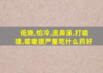 低烧,怕冷,流鼻涕,打喷嚏,咳嗽很严重吃什么药好