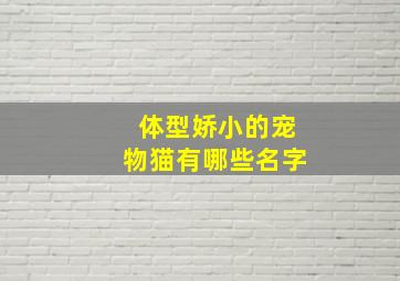 体型娇小的宠物猫有哪些名字