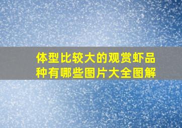 体型比较大的观赏虾品种有哪些图片大全图解