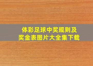 体彩足球中奖规则及奖金表图片大全集下载