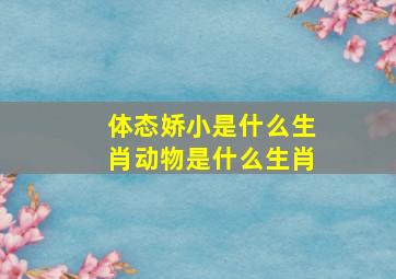 体态娇小是什么生肖动物是什么生肖