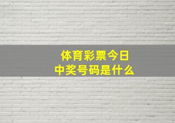 体育彩票今日中奖号码是什么