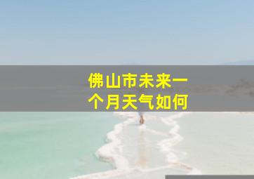 佛山市未来一个月天气如何