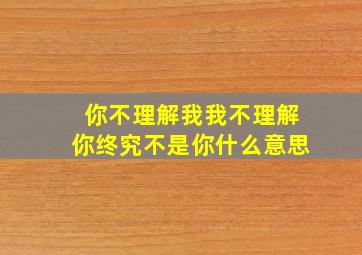 你不理解我我不理解你终究不是你什么意思