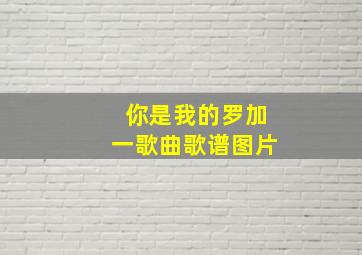 你是我的罗加一歌曲歌谱图片