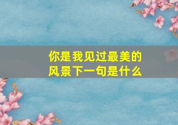 你是我见过最美的风景下一句是什么