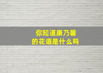 你知道康乃馨的花语是什么吗