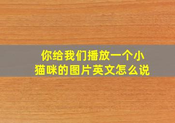 你给我们播放一个小猫咪的图片英文怎么说