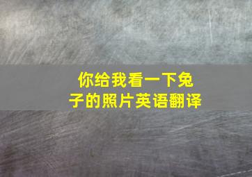 你给我看一下兔子的照片英语翻译