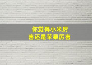 你觉得小米厉害还是苹果厉害