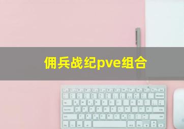 佣兵战纪pve组合