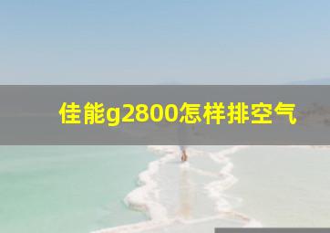 佳能g2800怎样排空气