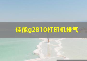 佳能g2810打印机排气