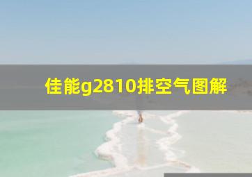 佳能g2810排空气图解