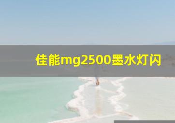 佳能mg2500墨水灯闪