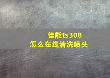 佳能ts308怎么在线清洗喷头