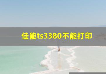 佳能ts3380不能打印