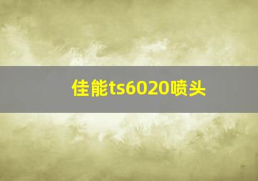 佳能ts6020喷头